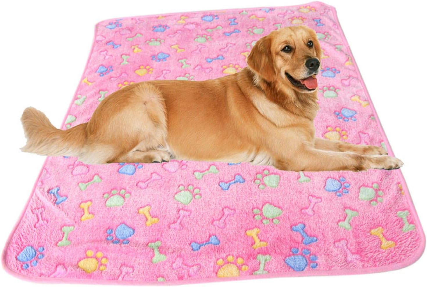 The 10 Best Bissell Petmate