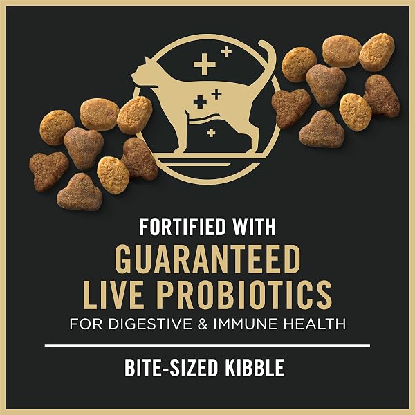 PURINA PRO PLAN HIGH PROTEIN CAT FOOD WITH PROBIOTICS FOR CATS, CHICKEN AND RICE FORMULA – 7 LB. BAG