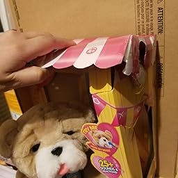 little live pets rollie review