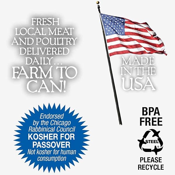AGAINST THE GRAIN NOTHING ELSE! 100% SALMON DOG FOOD – 11 OZ EACH – SINGLE-INGREDIENT MEATBALL TEXTURE IN NATURAL BROTH – WET DOG FOOD – GRAIN & GLUTEN FREE