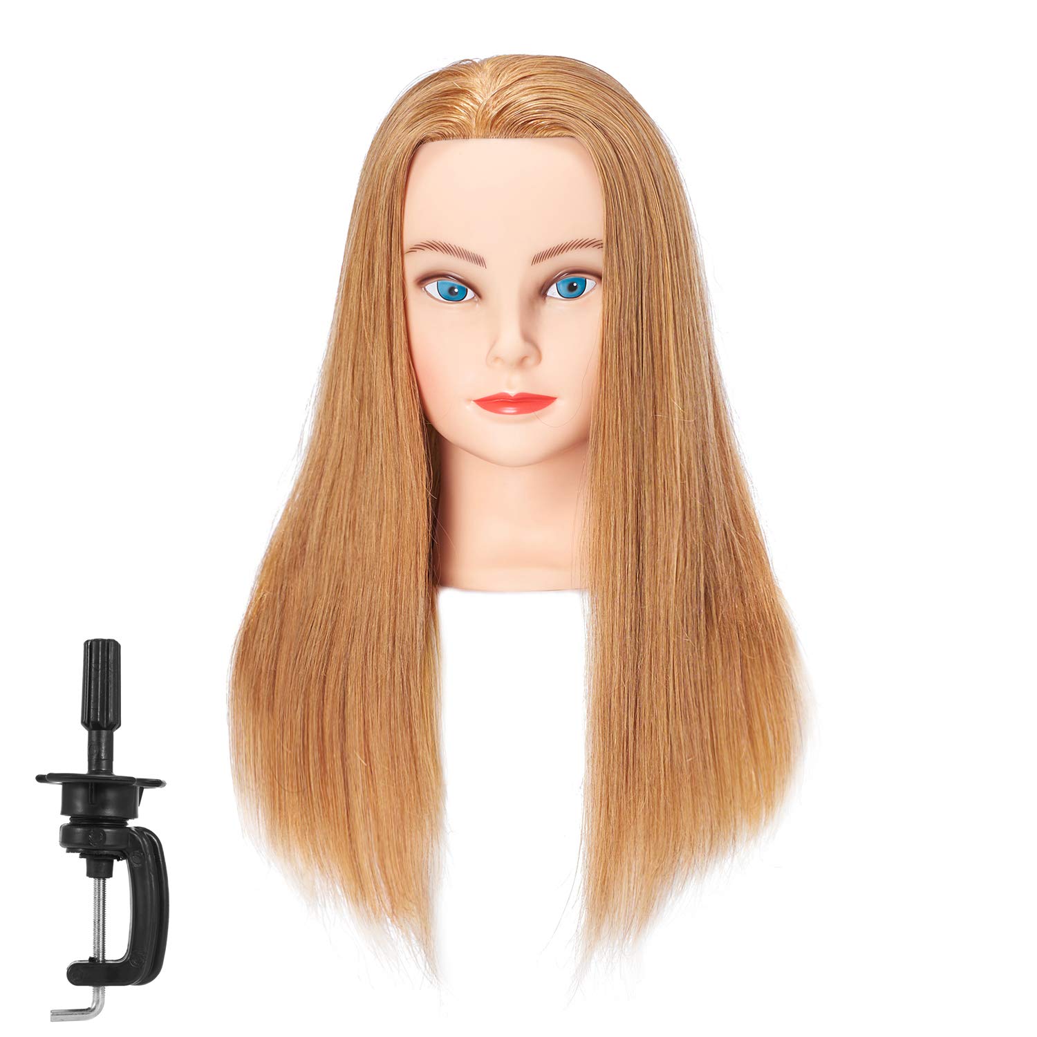 hairginkgo mannequin