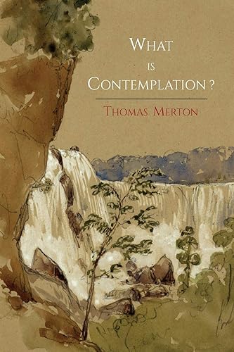 Download What Is Contemplation? PDF