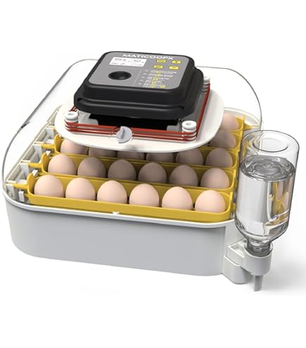 Amazon.com: Rcom Digital Auto-Turning High hatching rate egg