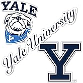Desert Cactus Yale University Sticker Bulldogs Vinyl Decals Laptop Water Bottle Car Scrapbook T5 (Type 5-1)