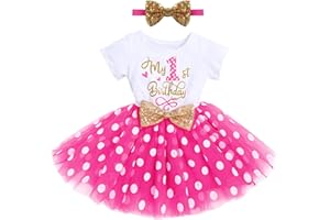 IMEKIS Baby Girls 1st 2nd Birthday Outfit Mouse Ladybug Dress Headband Polka Dots Tutu Skirt Set ONE Cake Smash Photo Shoot