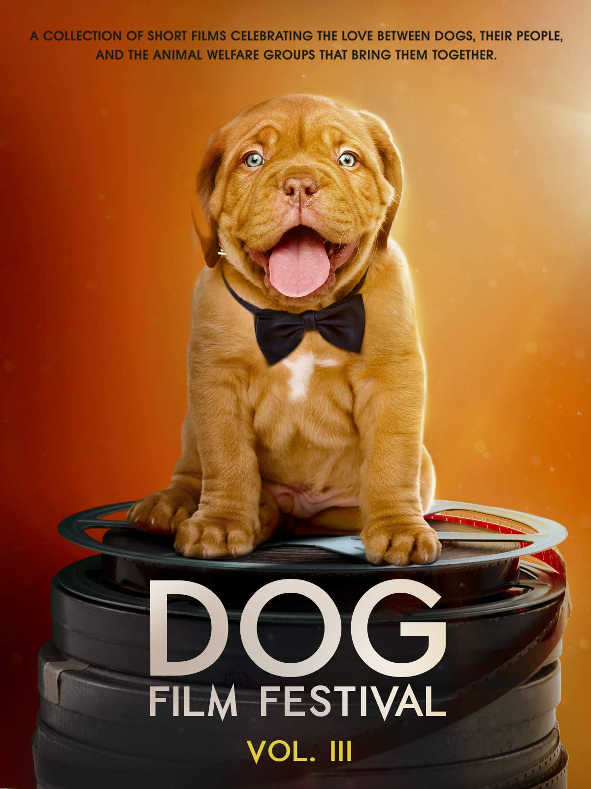 Watch Dog Dynasty Prime Video