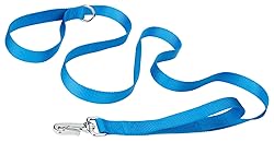 Country Brook Petz - Deluxe Nylon Dog Leash with