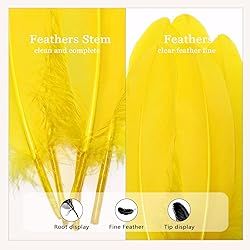 FeelfunFeather 120pcs Yellow Goose Feathers 6-8