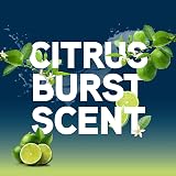 Vax Platinum Antibacterial 1.5L Carpet Cleaner Solution Citrus Burst view 7