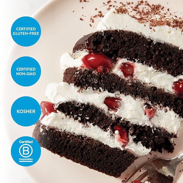 KING ARTHUR GLUTEN FREE CHOCOLATE CAKE MIX: RICH, MOIST, AND DELICIOUS DESSERT FOR BIRTHDAYS AND SPECIAL OCCASIONS – NON-GMO, KOSHER, NON-DAIRY BAKING MIX (22 OZ)
