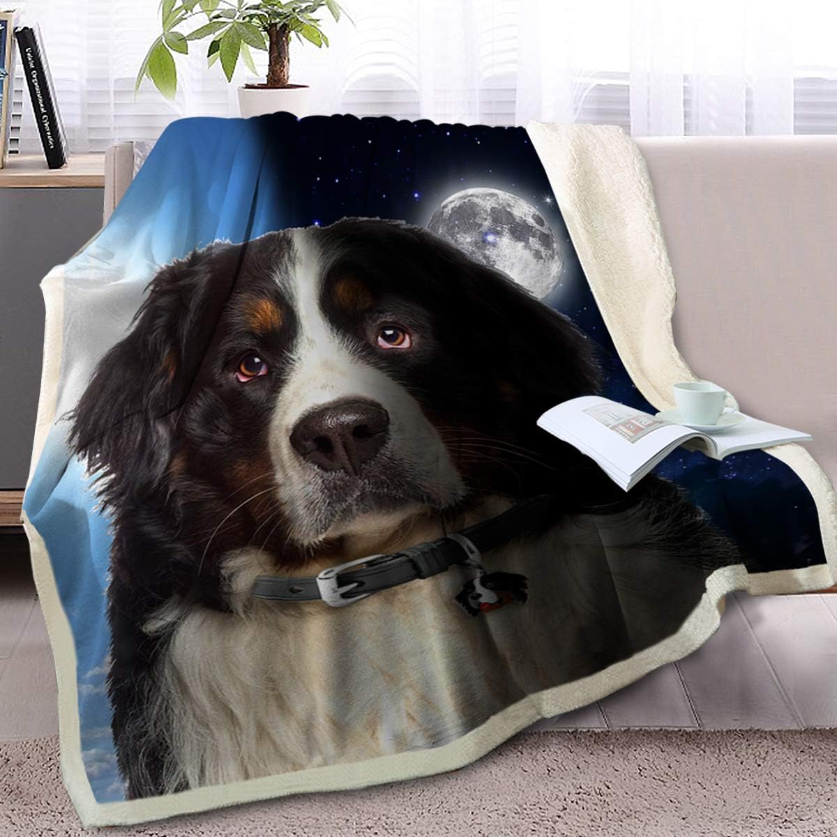 bernese mountain dog collar