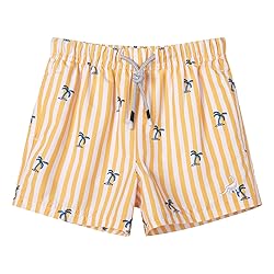SURF CUZ Boys Swim Trunks Swimsuit for Toddler Boys