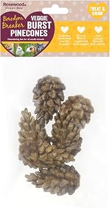 Rosewood Veggie Burst Pinecones Treats for Small Animals 6pc