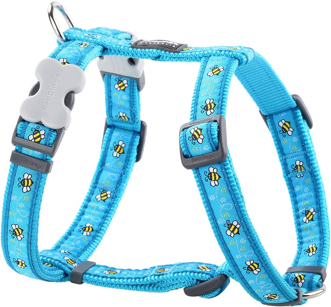 Red Dingo Classic Dog Harness Design, Bumble Bee Turquoise, Large 25mm