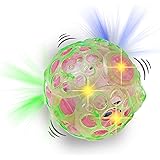 bumble ball motorized dog toy