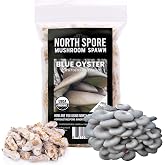 North Spore Organic Blue Oyster Mushroom Plugs for Logs, 100 ct | Pleurotus Ostreatus Spawn for Log Inoculation, Grow Gourmet Mushrooms Outdoors, Handmade in Maine, USA