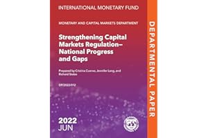 Strengthening Capital Markets--National Progress and Gaps (Departmental Papers)