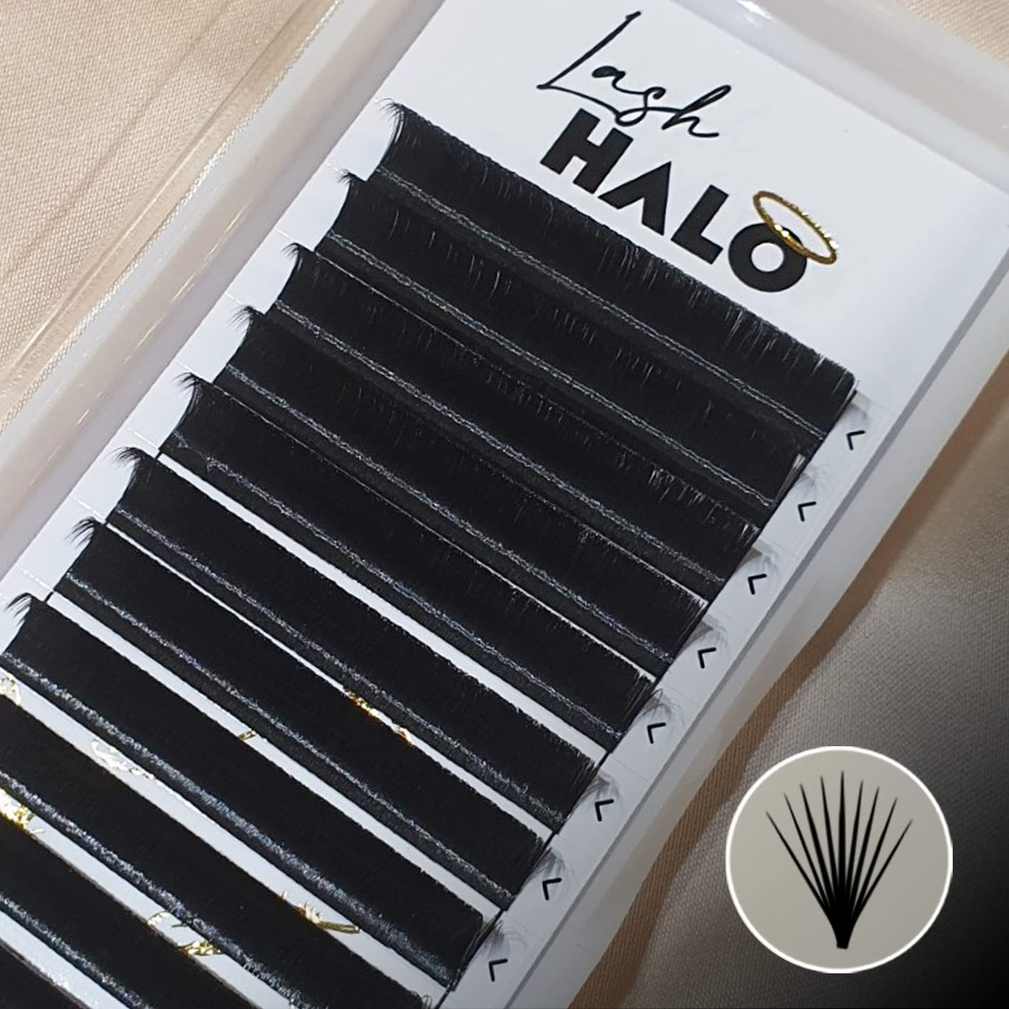 Easy Fans Eyelash Extensions 0.07 D Curl *NO PINCHING REQUIRED* (10mm)