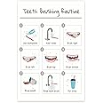 Teeth Brushing Routine Poster Good Dental Hygiene