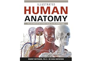 Illustrated Human Anatomy: The Authoritative Visual Guide to the Human Body