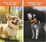 PcEoTllar Light Up Dog Collar Rechargeable 8 Modes 7 Colors Adjustable view 7