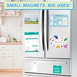 FINDMAG 50 Pcs 4x2 mm Neodymium Magnets with Storage Case view 5
