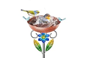 SHUONIVS Metal Bird Bath for Outside, Vintage Freestanding Birdbaths & Birdfeeder Combo with Rust-Resistant Stake, Bird Baths Feeder Bowl for Outdoors Garden Patio Yard Lawn Decor
