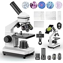 Lot de 48 lames en plastique préparées pour microscope d'animaux, d'insectes, de plantes, de fleurs, échantillons d'échantillons pour l'enseignement des sciences biologiques de base #81053
