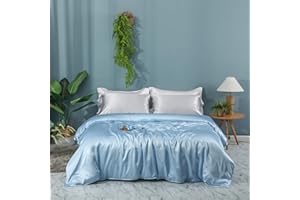 ZIMASILK 100% Mulberry Silk Duvet Cover,Both Sides 19 Momme Nature Silk Bedding Cover with Zipper Closure,Comfy &Soft,1pc Duvet Cover only(Light Blue,King:104"x92")