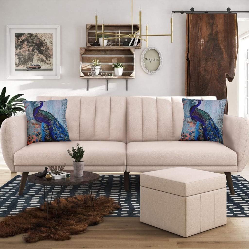 Decozen Decorative Throw Pillow with Insert 18"x18" inches in 1 Set Peacock Print Embellished for Couch Sofa Bed Living Room Bedroom Farmhouse Patio: Home & Kitchen