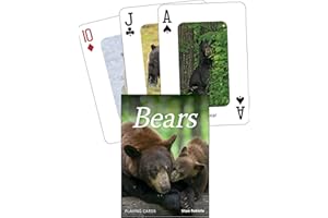 Bears Playing Cards