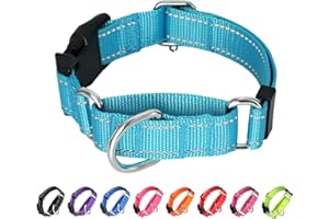 BXPAW Martingale Collar for Dogs,Reflective Martingale Dog Collars with Quick Release Buckle,Adjustable Nylon No Pull Dog Collar for Walking Training (Red, Medium)