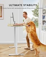 ErGear Electric Standing Desk 120x60cm, Height Adjustable with Memory Panel view 8
