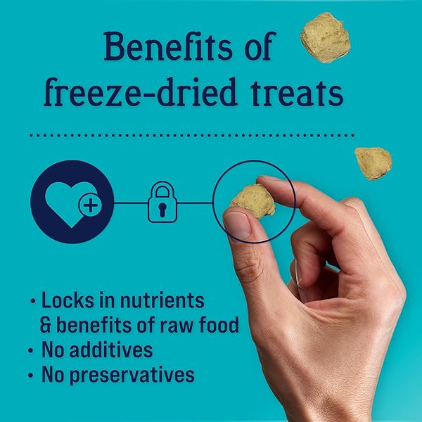 STEWART FREEZE DRIED DOG TREATS, HEALTHY HIPS WITH GLUCOSAMINE FOR DOGS, HEALTHY, LIMITED INGREDIENT GRAIN FREE DOG TREAT, BEEF & SWEET POTATO RECIPE, 8 OUNCES, RESEALABLE POUCH, LIGHT BROWN (402303)