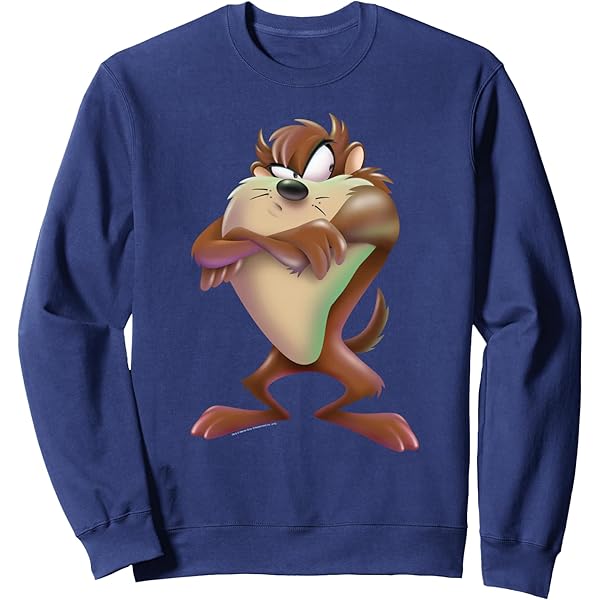Amazon.com: Looney Tunes Tazmanian Devil Sweatshirt : Clothing