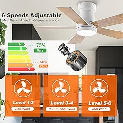 Ceiling Fans with Lights, 30 inch Low Profile