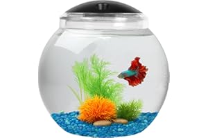 Koller Products 2-Gallon Fish Bowl, Impact- Resistant Plastic Betta Fish Tank with LED Lighting (7 Color Selections), Buit-in Timer, Crystal-Clear Clarity, Desktop Aquarium Tank for Home Décor