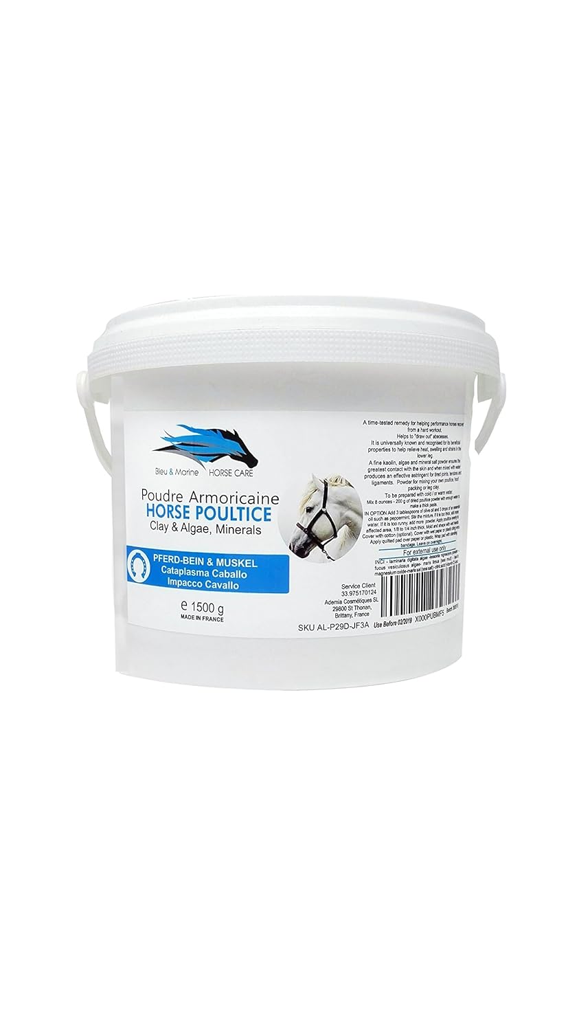 Horses 1500 g bucket Algae Poudre Armoricaine The original French