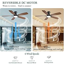 NKPU 52inch Ceiling Fans with Lights, Low Profile