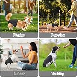 Aomig Reusable Dog Nappies Absorbent Washable Diapers Adjustable L view 7