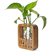 MIGAKU HOME Walnut Wood Terrarium Planter - 2 Glass Test Tube Vase & Boho Plant Stand for Hydroponics, Home Office Desk Decor, Unique Housewarming Birthday Gifts for Women Plant Lovers