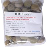BSD Organics Natural Bonduc Nut, Fever Nut/Kalachikai (100 Gram/3.5 Ounce)