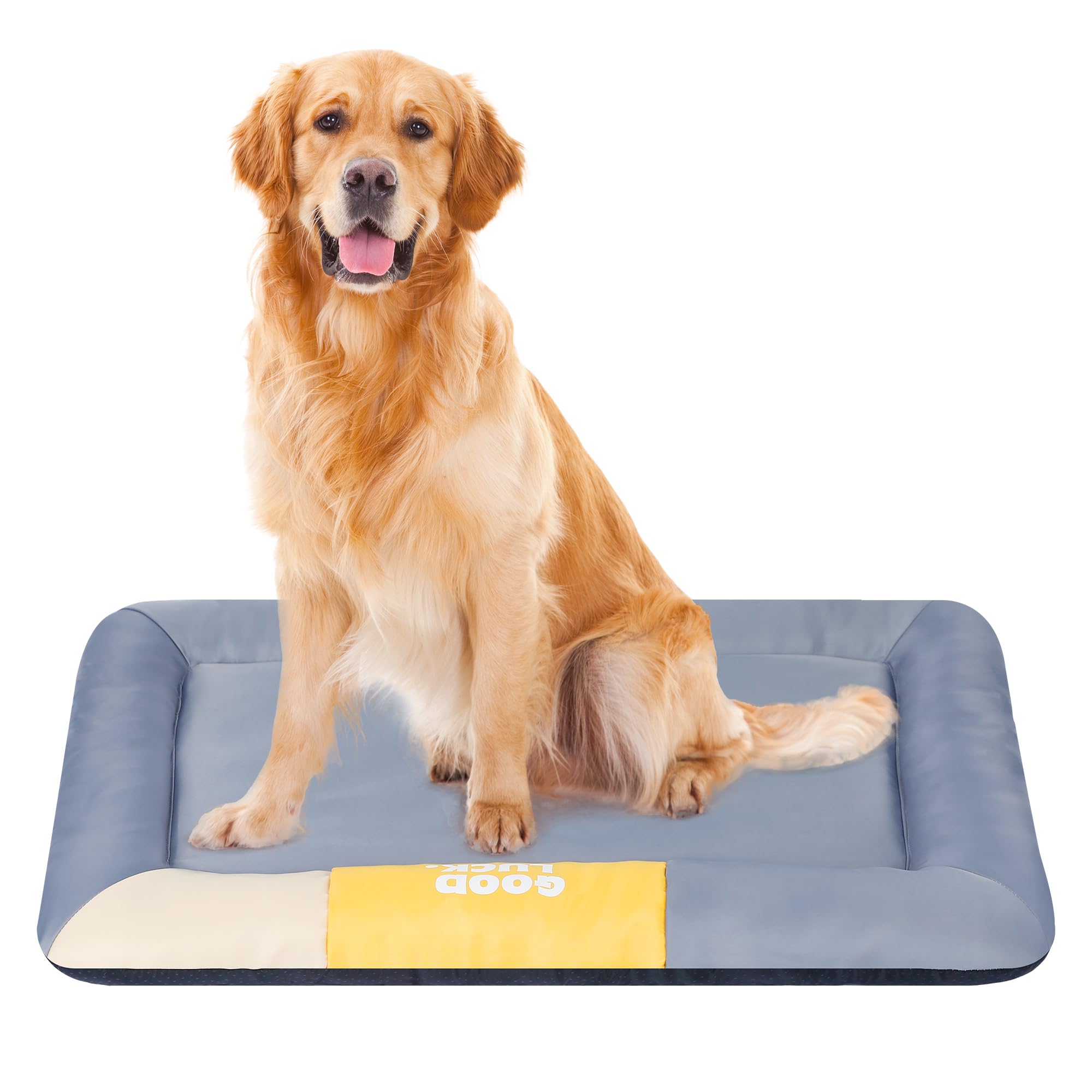 Photo 1 of All-Season Orthopedic Memory Foam Cat & Dog Bed – Waterproof, Washable Pet Bed for Comfortable Support, Year-Round Use (Medium)