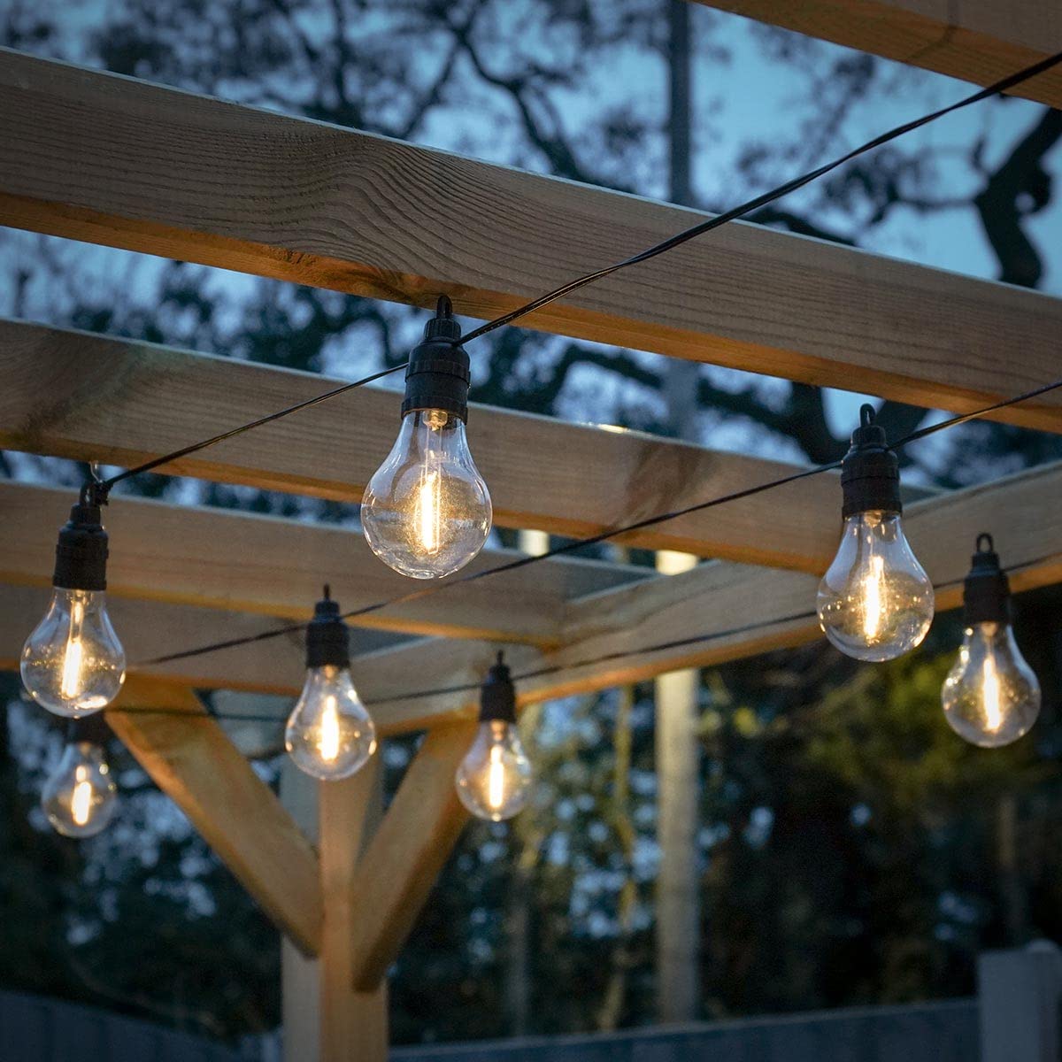 Festive Lights - 4.5m Battery Festoon String Lights with 10 Warm White Filament Effect LED Bulbs - Vintage Style, IP44 Rated, Indoor & Outdoor Use - Timer Function, Pre-Mounted Hooks, Black Cable