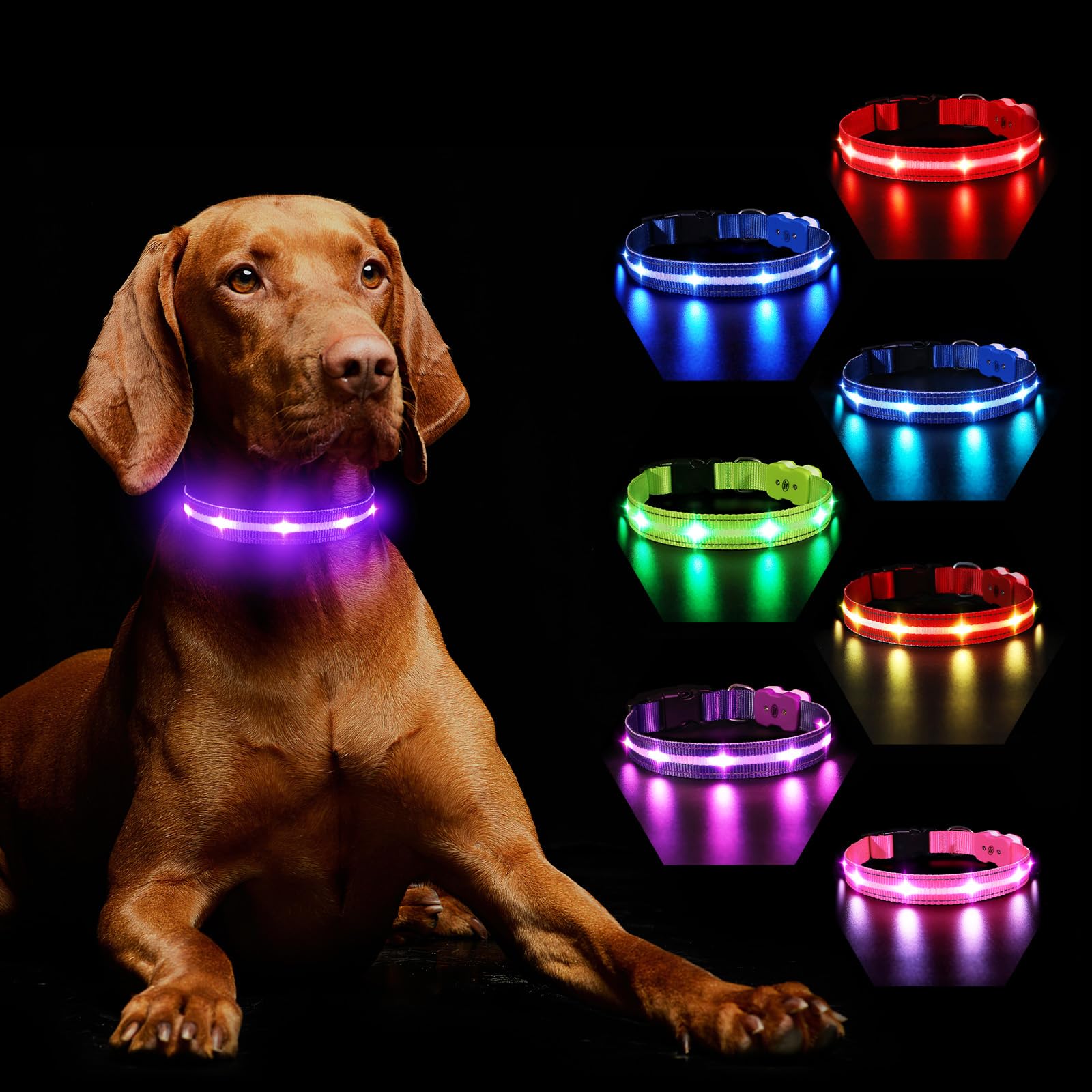 Light Up Dog Collar Rechargeable, LED Dog Collar Lights with 7 Colors Change 8 Lighting Modes Glow in the Dark, Adjustable Waterproof Flashing Collar for Small Medium Large Dog, Purple M