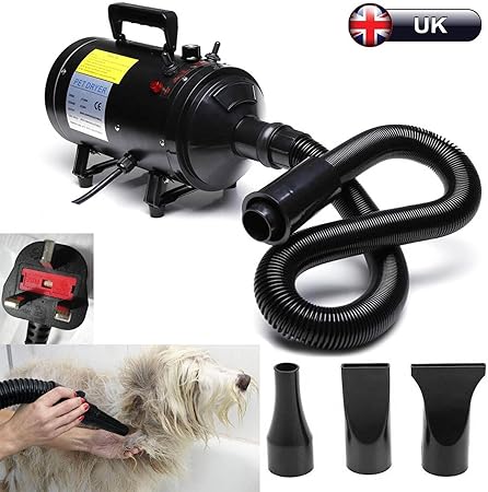 dog blaster dryer uk