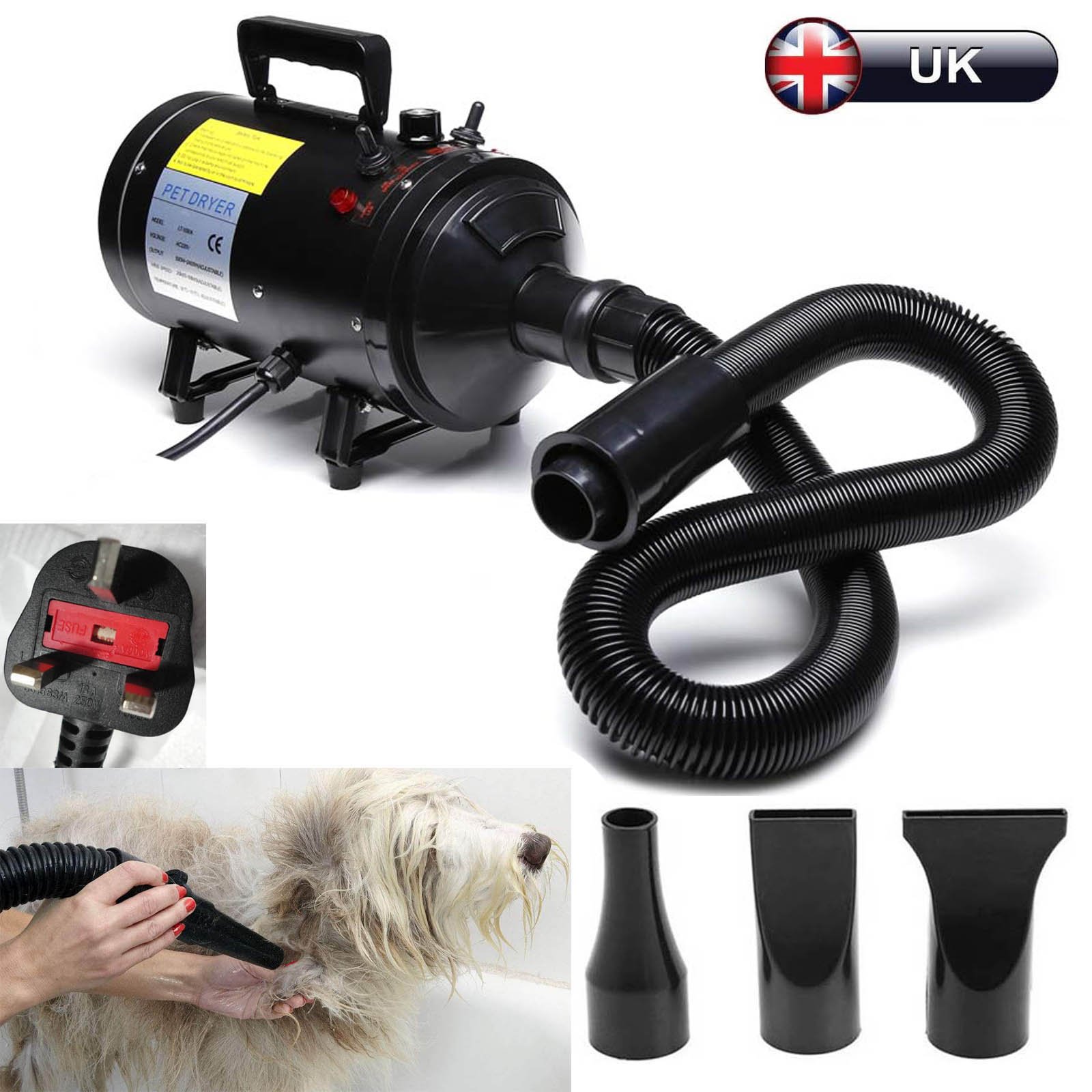 dog blaster dryer uk