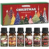 SALKING Christmas Fragrance Oils, Premium Essential Oil for Diffuser, Scented Oil Gift Set for Soap Candle Making - Christmas Wreath, Apple Cinnamon, Gingerbread, Candy Cane, Christmas Pudding, Eggnog