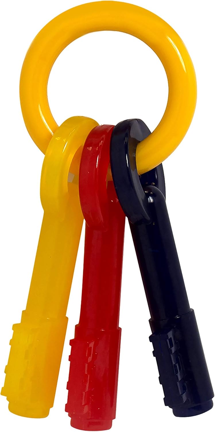 nylabone keys large