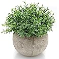 Velener Mini Sage Green Potted Boxwood Topiary Artificial Plants for Home Decor Indoor, Farmhouse House Plant Office Small De